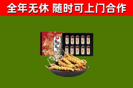 鄯善县烟酒回收冬虫夏草礼盒.jpg