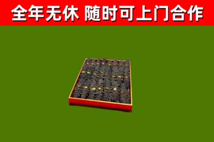 鄯善县回收海参